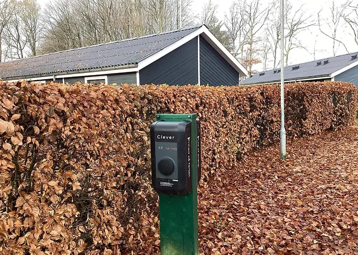 Stay, Steps From Mariehaven Ansager